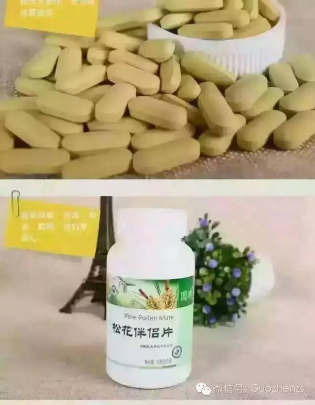 国珍松花伴侣片介绍