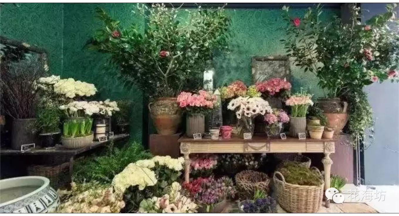 【重庆花卉种植联盟】花海坊出品 "花艺绿植店陈设