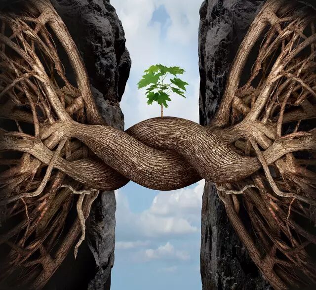 他說(shuō) | 品牌追熱點(diǎn)的正確姿勢(shì)