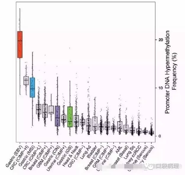 胃癌的分子病理分型