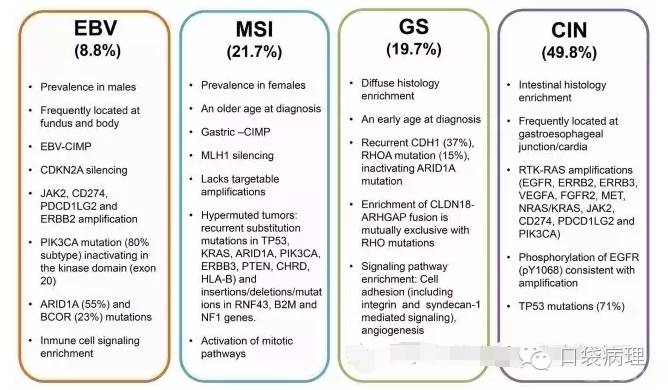 胃癌的分子病理分型