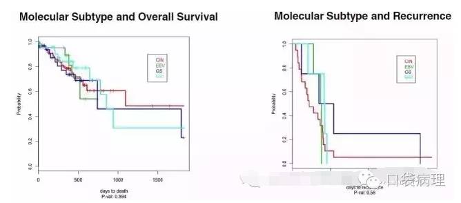 胃癌的分子病理分型