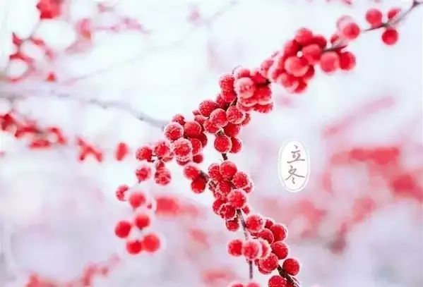 【传统节气】立冬:牵你温暖的手,走进浪漫冬天! - 快乐成长 - 温馨家园 【传统节气】立冬:牵你温暖的手,走进浪漫冬天! - 快乐成长 - 温馨家园
