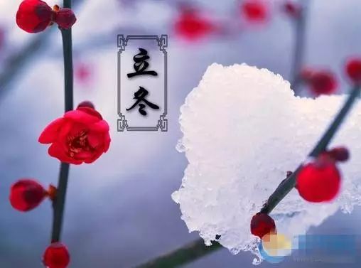 【传统节气】立冬:牵你温暖的手,走进浪漫冬天! - 快乐成长 - 温馨家园 【传统节气】立冬:牵你温暖的手,走进浪漫冬天! - 快乐成长 - 温馨家园