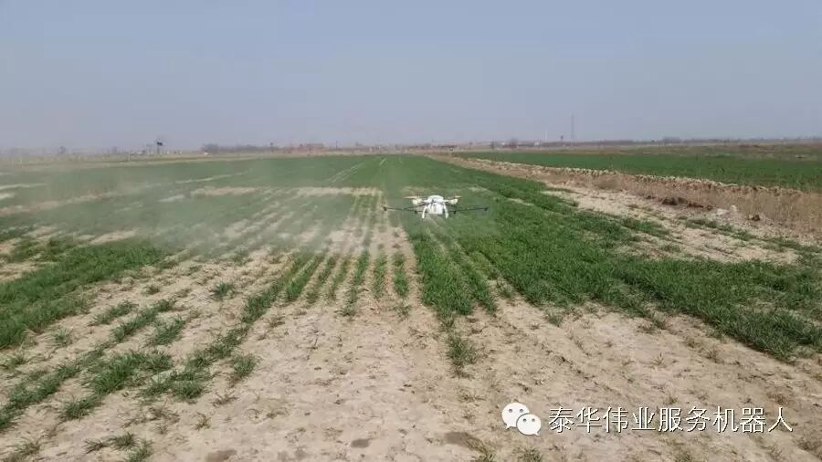 泰華宏業(yè)（天津）機(jī)器人技術(shù)研究院在天津大港、 漢沽開展植保無人機(jī)現(xiàn)場應(yīng)用示范