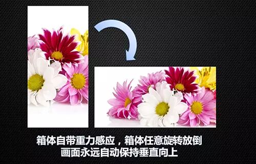 配件单独插拔 齐普光电推出“网”系列租赁新品