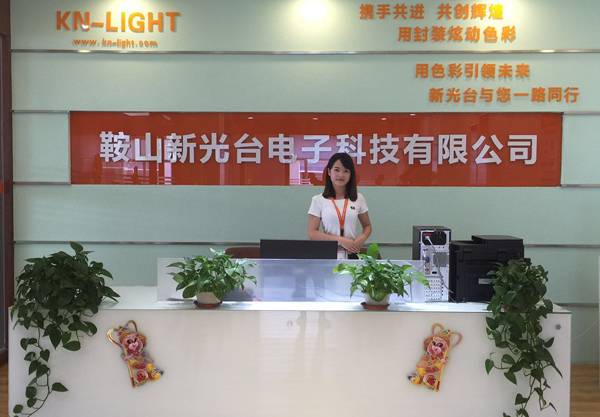 展会酒会报告会 东北显示行业大聚会