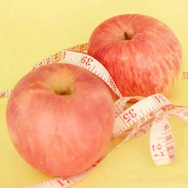 减肥食谱周二的吃法_减肥食谱周瘦10斤_一周减肥食谱