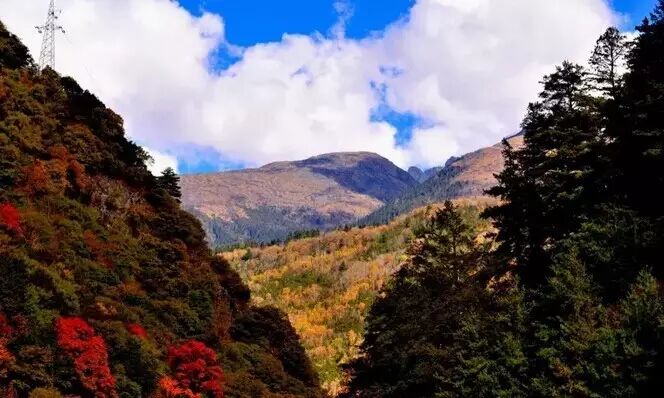 范冰冰说:“带上房车到米亚罗看看”!