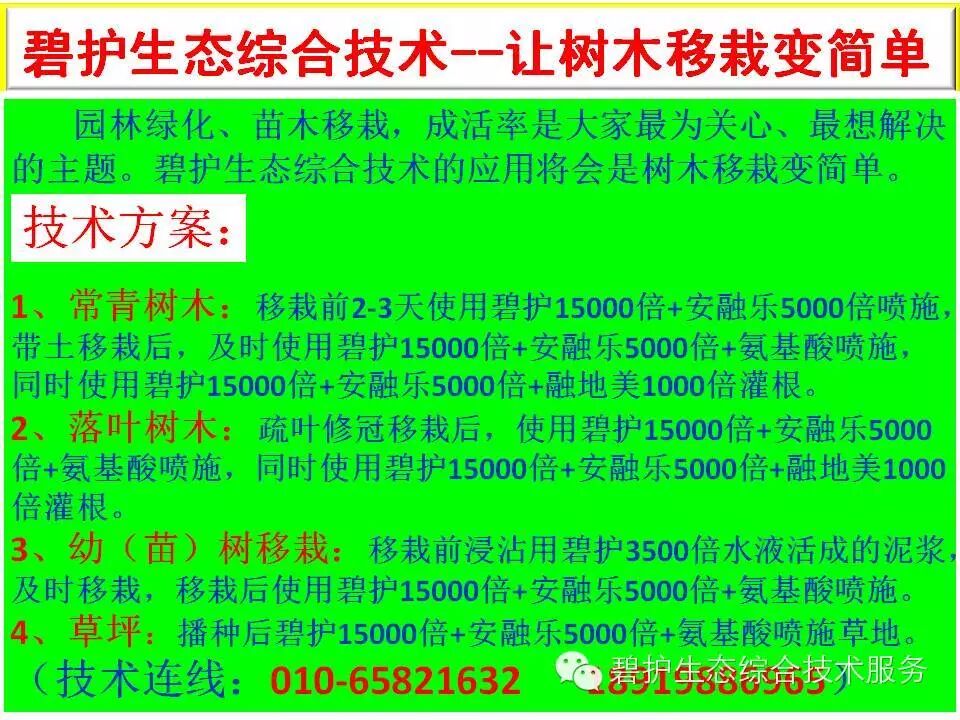 ������ǻ��������̻���̬�ۺϼ�����������ľ��ֲ���