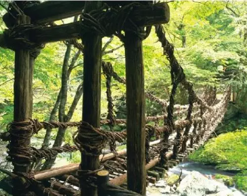 0?tp=webp&wxfrom=5&wx_lazy=1