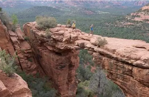 0?tp=webp&wxfrom=5&wx_lazy=1