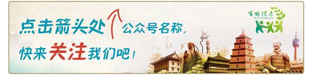 一年过去，发际线又往后移了一点，这是咋回事？