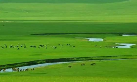 最大的草原——康西草原