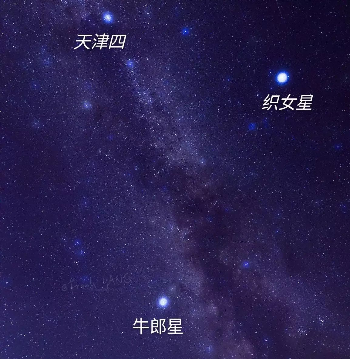 我们是天上的星星——今天我们都是天津四