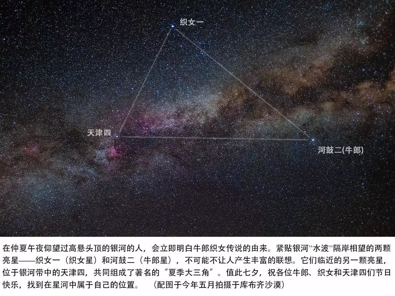 我们是天上的星星——今天我们都是天津四
