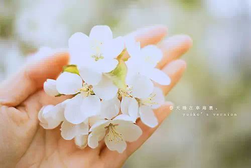 现在过的每一天,都是我们余下生命中最年轻的一天。 - 未来妈咪母婴咨询 - 未来妈咪母婴体验中心 现在过的每一天,都是我们余下生命中最年轻的一天。 - 未来妈咪母婴咨询 - 未来妈咪母婴体验中心