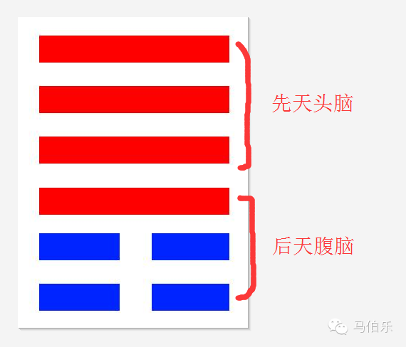 易经八卦之先天脑和后天脑