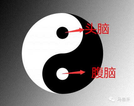 易经八卦之先天脑和后天脑
