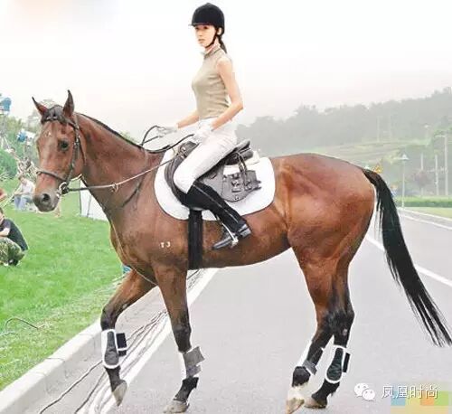 林志玲最萌身高差_林志玲身高有180吧_林志玲身高