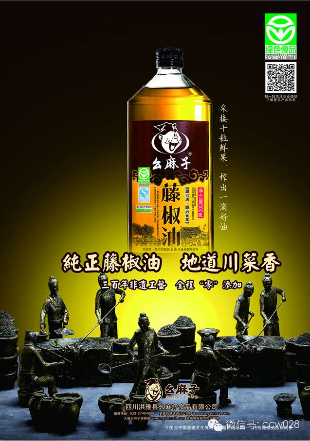 对话川味 ——走进成都书院 做客“川味中国”(图7)