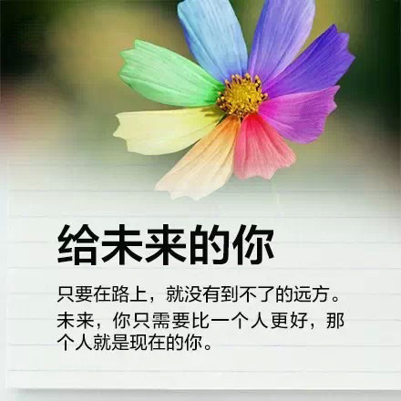 写给终将逝去的2014年2 / 作者:桂花糕 / 帖子ID:107171