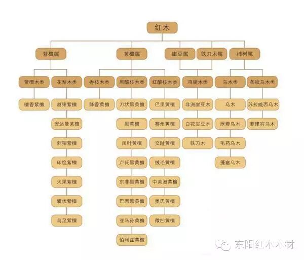 哪种红木值得买？俗解红木国标，图鉴、学名、俗称对照及收藏价值