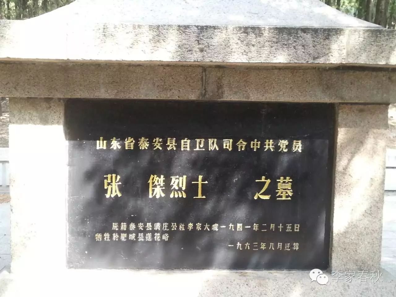 揭开张杰(张伯祥)行踪的一个小角