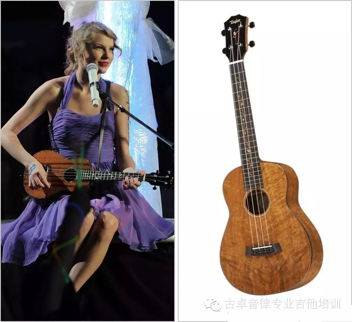 【Ukulele】 Taylor Swift演唱会现场尤克里里演唱《Fearless...