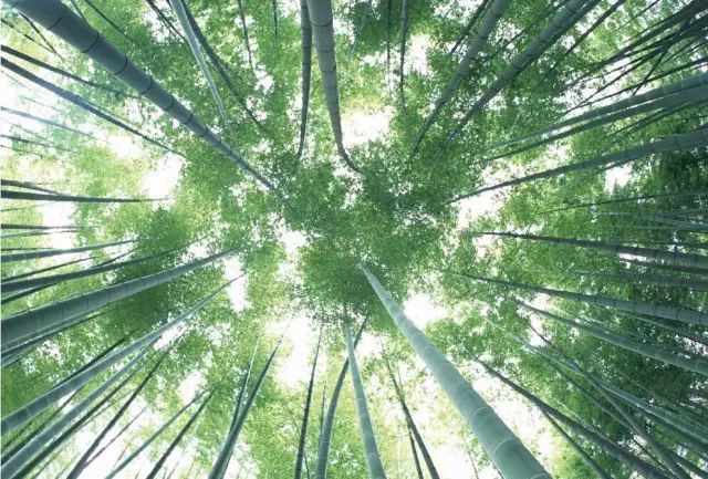 【谈艺】一双手撑起一片天