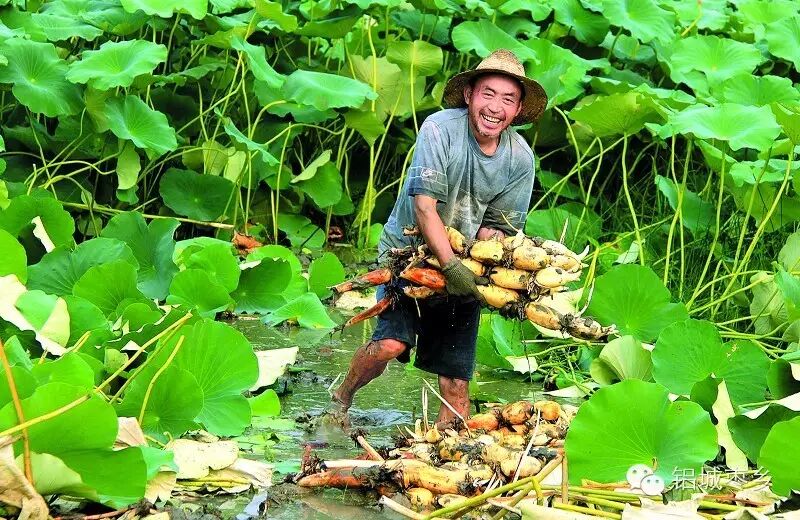 茌平县地图_茌平县财政收入