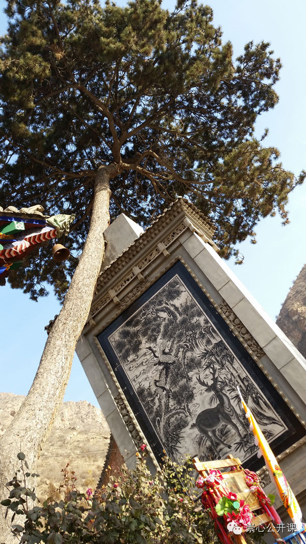 ������:���������ߵĴ���