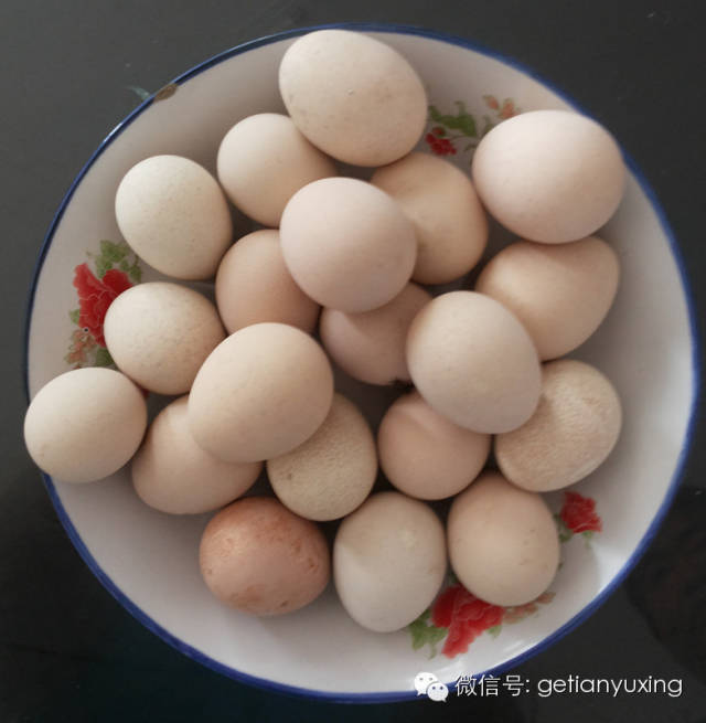 珍珠鸡蛋鲜为人知的3大益处