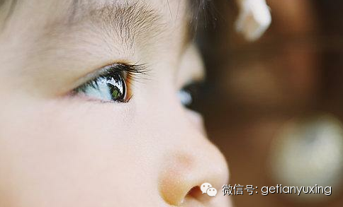 珍珠鸡蛋鲜为人知的3大益处