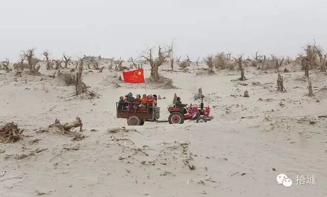 周馨:二胎妈妈的生活左与右 拾城摄影师的2015-怀孕期