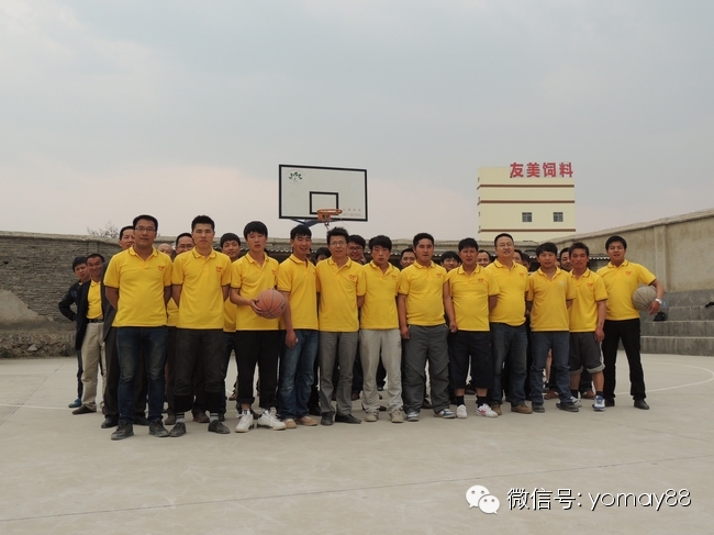 保险女业务员潜规则_猪饲料业务员收入(3)