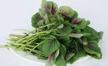 你家厨房里有这些菜吗?它们能帮助你稳血糖 - 风帆页页 - 风帆页页博客 你家厨房里有这些菜吗?它们能帮助你稳血糖 - 风帆页页 - 风帆页页博客