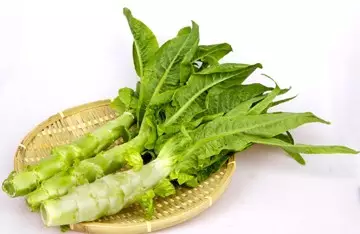 你家厨房里有这些菜吗?它们能帮助你稳血糖 - 风帆页页 - 风帆页页博客 你家厨房里有这些菜吗?它们能帮助你稳血糖 - 风帆页页 - 风帆页页博客