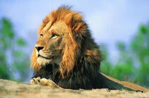 一针见血的8句粗话，话粗理不粗！真的太现实了...... 第5张