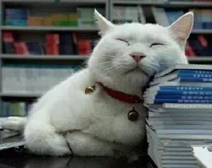 一针见血的8句粗话，话粗理不粗！真的太现实了...... 第8张