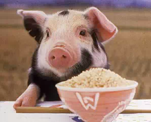 一针见血的8句粗话，话粗理不粗！真的太现实了...... 第1张