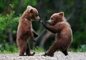 一针见血的8句粗话，话粗理不粗！真的太现实了...... 第3张