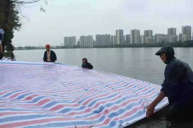 历史会记住今天！1000多万人见证暴雨中最真实的武汉！