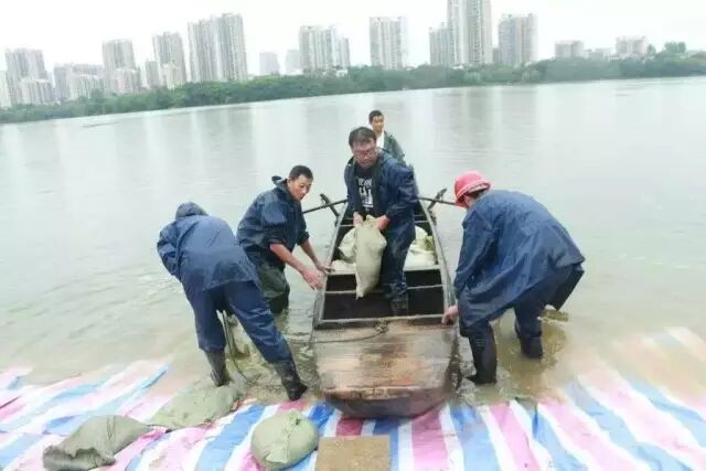 历史会记住今天！1000多万人见证暴雨中最真实的武汉！