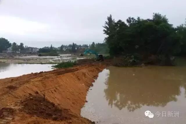 历史会记住今天！1000多万人见证暴雨中最真实的武汉！