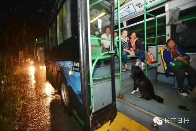 历史会记住今天！1000多万人见证暴雨中最真实的武汉！