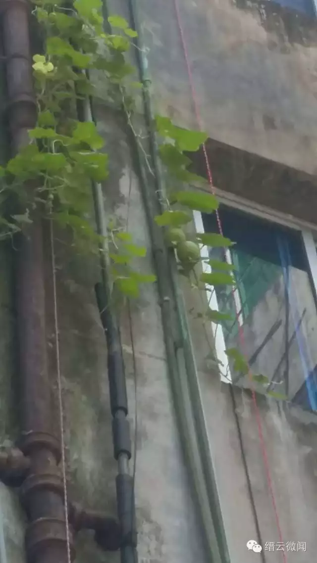 登录查看大图