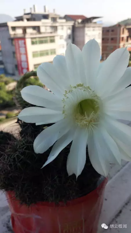 登录查看大图
