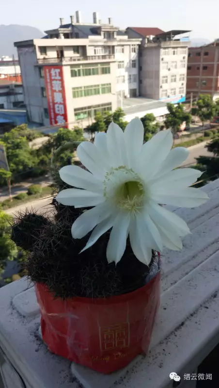 登录查看大图
