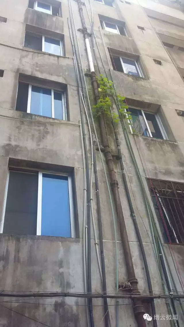 登录查看大图